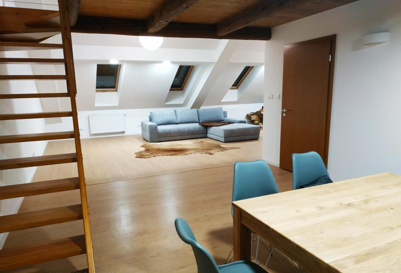 Apartament"Nad Niwka 6" Z Zamykanym Bezplatnym Parkingiem Бельско-Бяла Экстерьер фото